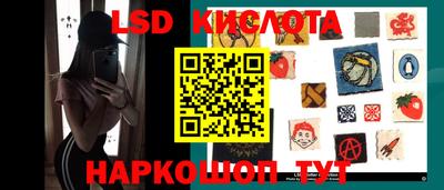 крисы Будённовск