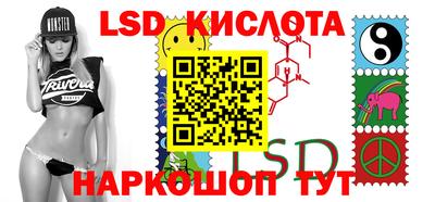 крисы Будённовск
