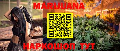 крисы Будённовск