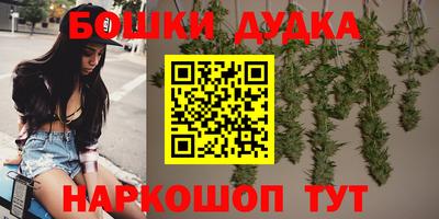 гидра Кулебаки