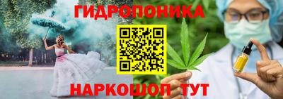 крисы Будённовск