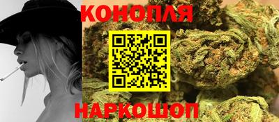 крисы Будённовск
