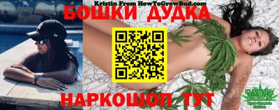 крисы Будённовск