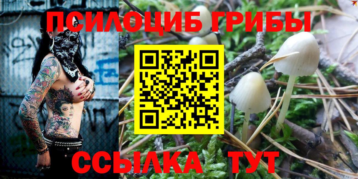 Псилоцибиновые грибы ЛСД Кинешма