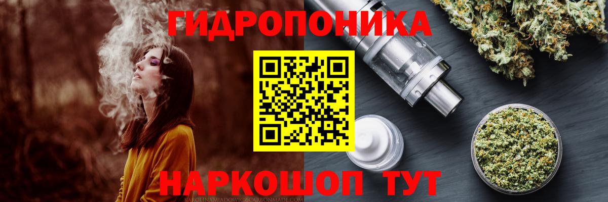 Кинешма  Конопля планчик  Вход с VPN  Бошки марихуана White Widow 